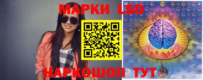 спиды Кимры