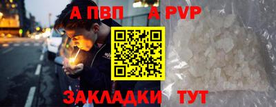 кокс Кингисепп