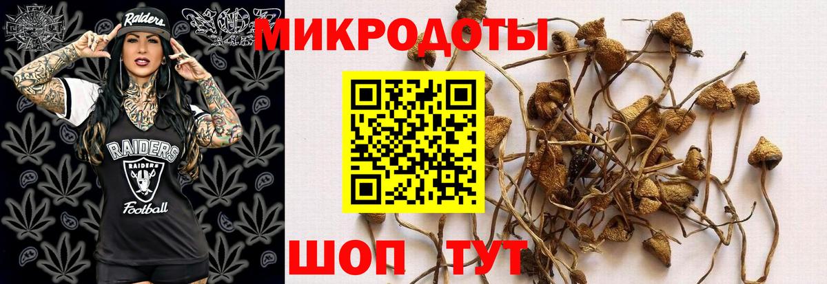 закладка  Вход с VPN  Псилоцибиновые грибы Magic Shrooms  Кизилюрт  Псилоцибиновые грибы ЛСД 